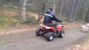 Катанеие на хаски летом буксировка квадроцикла ездовыми собаками