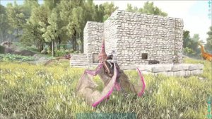 Парашют. ◉ARK: Survival Evolved #15