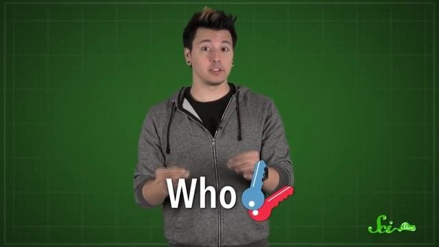 Общий принцип работы криптовалют