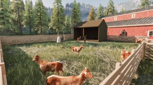 Ranch Simulator ч. 8 Лошадки