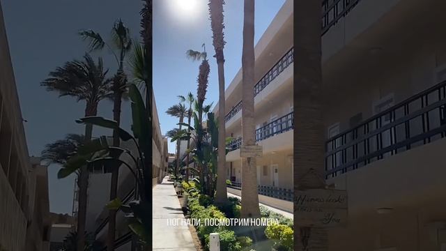 MERAKI RESORT 4 ХУРГАДА ЕГИПЕТ ОБЗОР ОТЕЛЯ