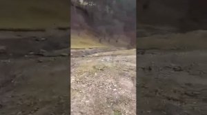 mitsubishi pajero pinin off road