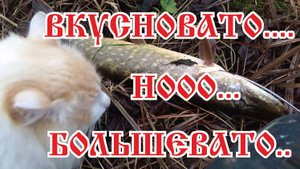 Тоолько мыы с кооотоом по рыбу идем...Январь, но щука попадается.Хуторок Заречный.