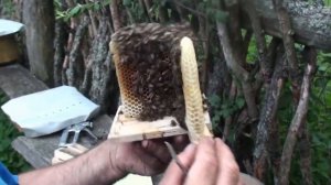 Нуклеус для облета матки