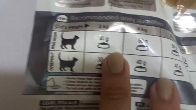 SUBSCRIBE SUBSCRIBE SUBSCRIBE...WE GOT CATS IN THE HOUSE ft. ROYAL CANIN &ME O смотреть онлайн