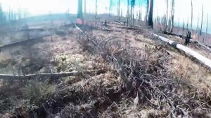 Охота на изюбря на реву 2015. GoPro Hero 4