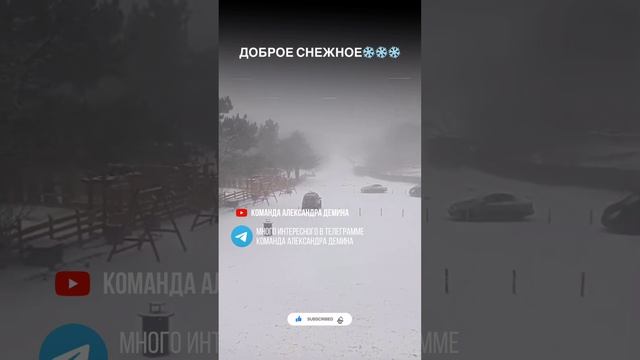Панорамное остекление террасы Раздвижное остекление террасы