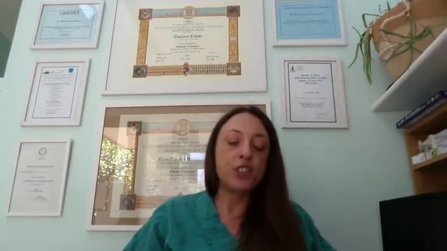 L’alimentazione del coniglio domestico: parola alla veterinaria смотреть онлайн