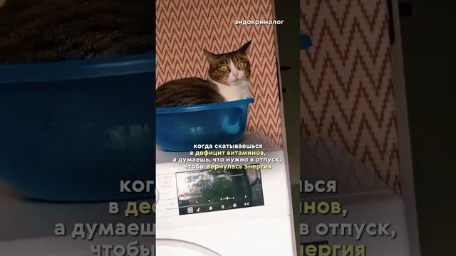 пишите "я", если узнали себя #консультацияврача #эндокринолог #доктор