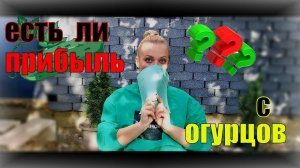 Сколько мы заработали на огурцах за месяц _! Два оборота, ошибки и прибыль.