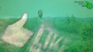 В КОМПОСТЕ ЗАВЕЛИСЬ БЕЛЫЕ ЛЯРВЫ. Вредители в компосте. Как очистить компост от личинок вредителей.