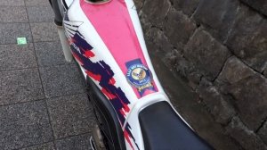 HONDA TLM220R