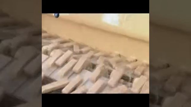 frozen fish.divx.AVI смотреть онлайн