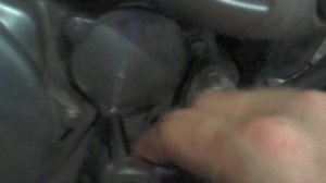 Oil change on Suzuki Ltr 450