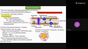 Foundational Biology For Class VIII - Madam Irani Adak