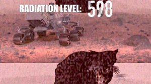 Maxwell the cat dancing. (v8)