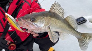 За судаком на Борские котлованы. Рыбалка в черте Нижнего Новгорода. Отвечаем на популярные
