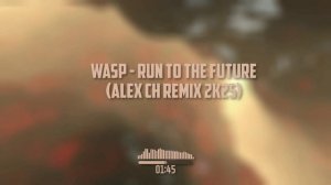 Wasp - Run To The Future (Alex Ch Remix 2k25)