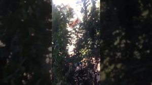 Иловайск