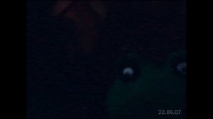 Пять ночей с Фрогги: Сказки можно воссоздать... | Первый тизер.