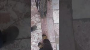 запуск снятого движка ад 50.