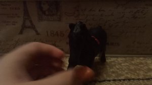 Распаковка фризской кобылы derri animals чит.описание