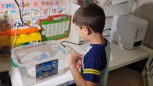 Гусеницы и куколки восковой моли