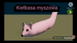 Мышка Сосиска на разных языках