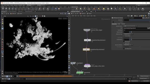 13 Particles Advection