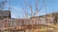 Мой Сад