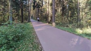 Коньковый равнинный ход. Ошибки в лыжной технике