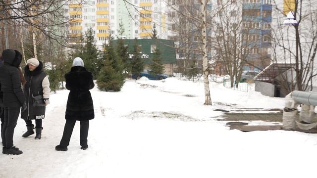 Содержание территории. В объективе мкр. Заозерный