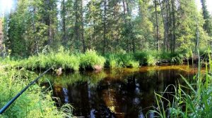 Ловля крупного хариуса на таежной речке в адскую жару.
