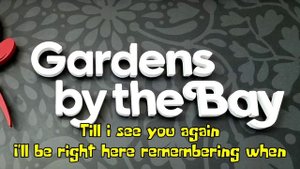 It's Not Goodbye Karaoke-Laura Pausini