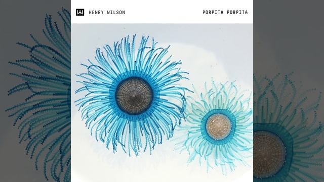Porpita Porpita Extended Mix