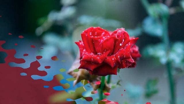 За гранью безграничного Музыка настолько прекрасна, что трогает сердце, трогает до глубины души смотреть онлайн