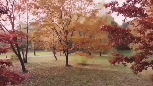 ИСТОРИЯ ПРО ЗЛУЮ ТЁТЮ ЛЕНУ. VREDINA LIVE. ОБЗОР. смотреть онлайн