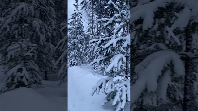 Друзья, со старым Новым годом🎄 Желаю вам успехов, счастья, мира, добра и конечно же ЗДОРОВЬЯ❤️