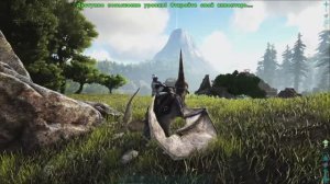 Полёт, обзор карты. ◉ARK: Survival Evolved # 9