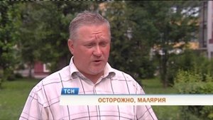 Роспотребнадзор предупреждает об угрозе малярии