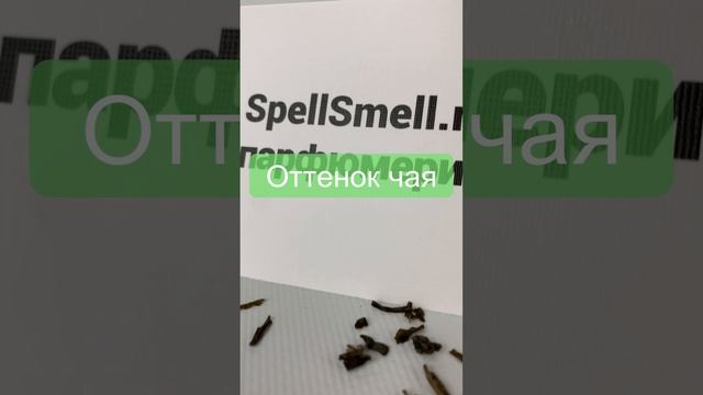 Стойкие нишевые духи от создателя "Молекул" 🔥