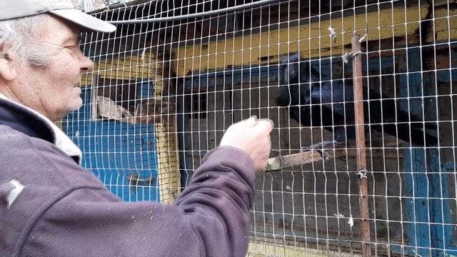 в гостях у дяди Паши Ведмидя.с Ильичево.Крым