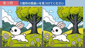 【間違い探し】記憶力や認知力を高める脳トレ！老若男女問わず誰でも楽しめるレクリエーション動画！【クイズ】