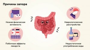 ЗАПОР - как его вылечить. Причины и лечение запоров. Простые советы для хорошей работы кишечника.