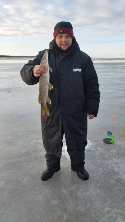 Рыбалка на Рыбинском водохранилище