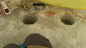 рыбалка на р. Ишим, химия.