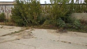 Покатушки на квадроцикле и питбайке