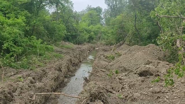 Полиция Кубани выявила факт незаконной рубки леса на сумму ущерба порядка 1,4 миллиона рублей смотреть онлайн
