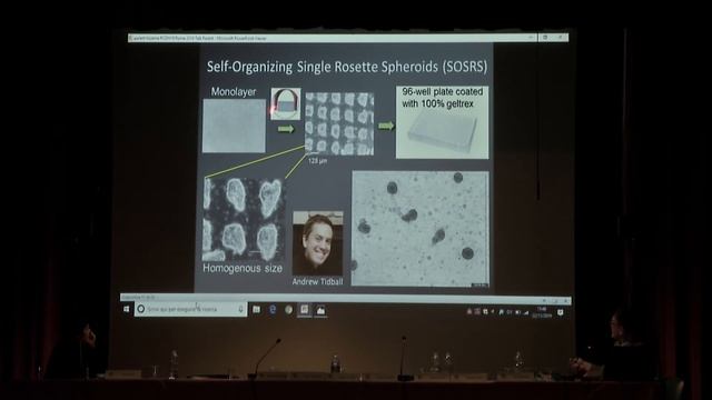 Jack Parent – University of MichiganCombining Human Pluripotent Stem Cell and Rodent Models to... смотреть онлайн