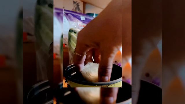 Quick and Easy ReGrow Store bought romaine lettuce  #gardening #gardenhacks #diy #gardenhacks